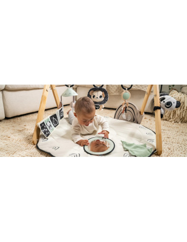 tiny love - palestrina black white decor gymini