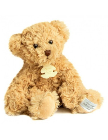 histoire dours - peluche orsetto vintage