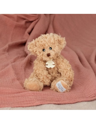 histoire dours - peluche orsetto vintage