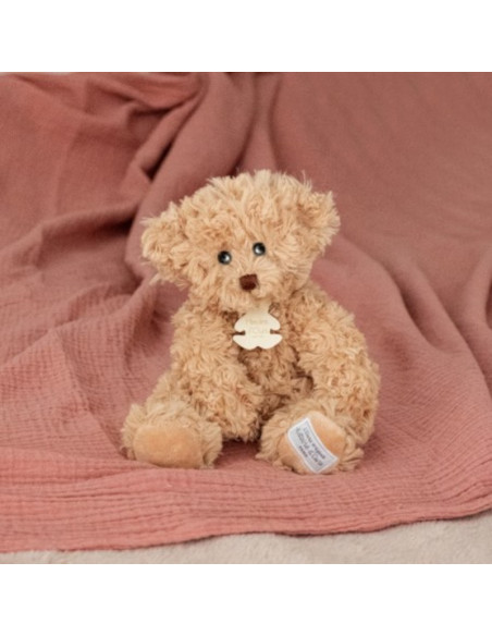 histoire dours - peluche orsetto vintage